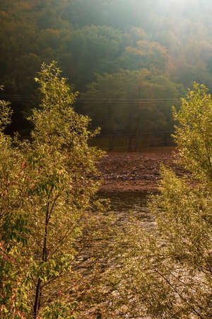 Autumn scene with dramatic light and red leaves on the Olt River