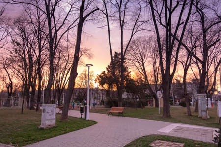 Bucharest, Romania - February 24 2019: Alley in Cinema Floreasca park in the neighborhood Floreasca on a winter day in sunset light.のeditorial素材