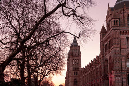 Exterior of the Natural History Museum of London in sunset lightのeditorial素材