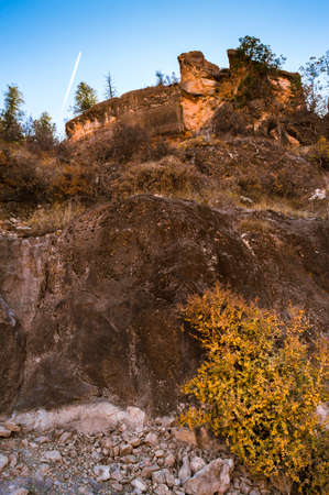 Trees and rock formations in the Grand Canyon in Arizona
