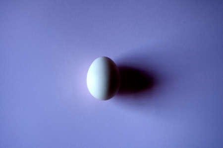 Egg on a white background