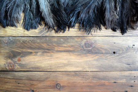 Background with black feathersの写真素材