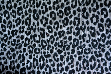 Leopard texture