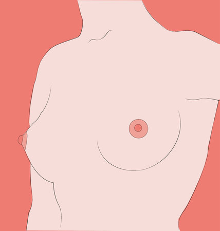 female torsoのイラスト素材