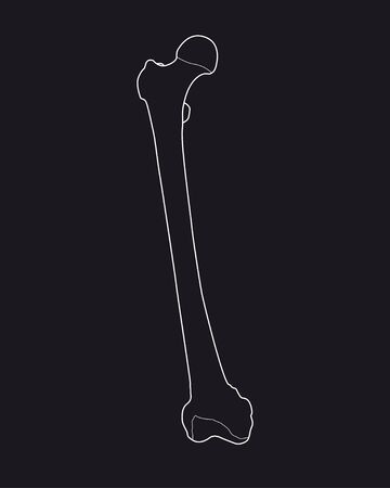 foot bonesのイラスト素材