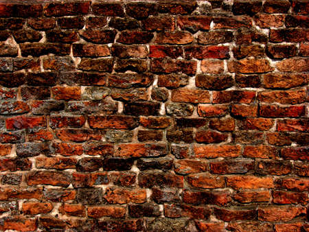  	Grunge brick wall texture                         の写真素材