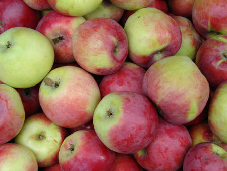  	applesの写真素材