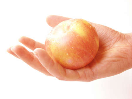     a female hand holding an apple                           の写真素材