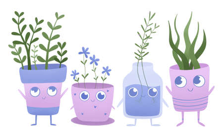 cute plants in colorful potsの写真素材