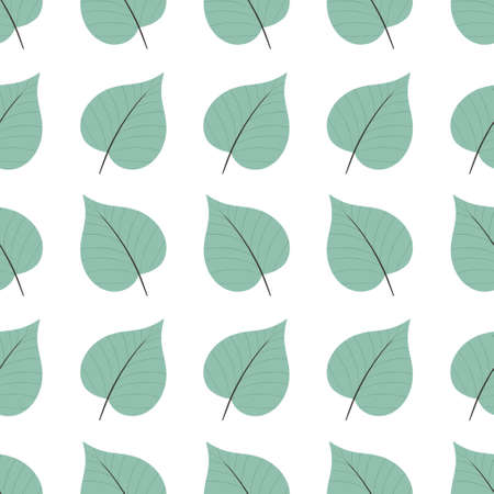 simple cute floral pattern - beautiful leaves of a plant on a white backgroundの写真素材