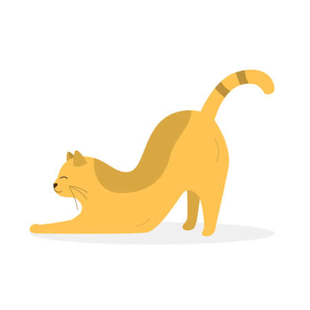 Cute yellow stretching hiding cat. Vector illustrationのイラスト素材