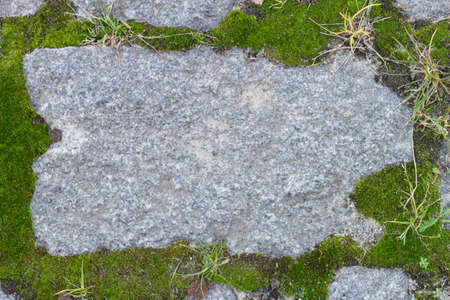 Gray stone of arbitrary shape in the earthの写真素材