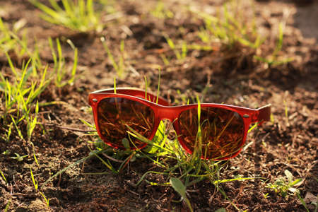 Glasses on the green grass under sun raysの写真素材