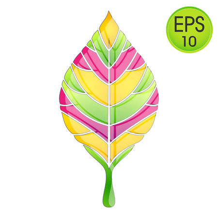 Multicolored vector leaf. Fresh leafのイラスト素材