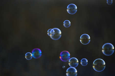 floating bubbles many daytime.の写真素材