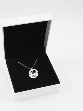 Single diamond necklace in a jewelry boxの写真素材
