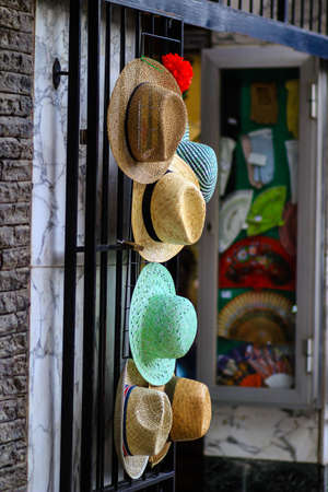 Valencia hatsの写真素材