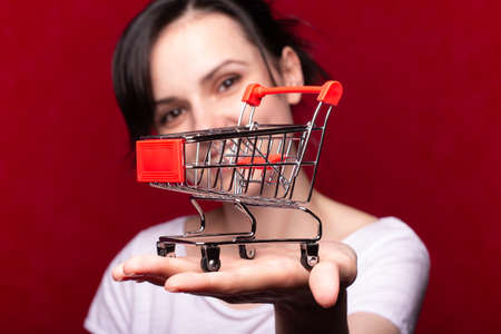 Woman showing mini shopping cart, online shop, ecommerce conceptの写真素材