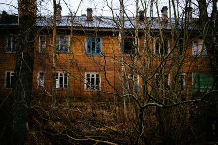 residential wooden housesのeditorial素材