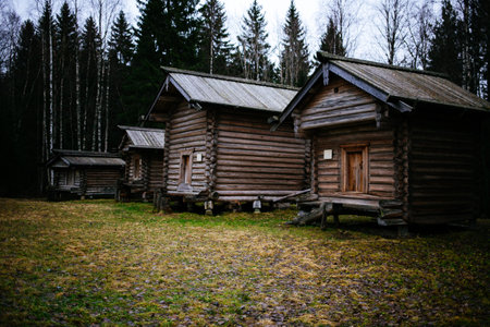 Arhangelsk, Russia - November 18 2020: houses in the Russian villageのeditorial素材