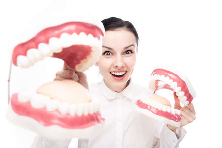 smiling female employee of a dental clinic in a white shirt holding giant jaws in her hands. high quality photoの写真素材