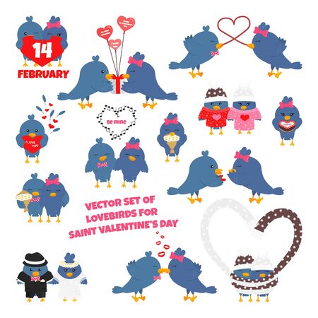 Vector Flat Set of Lovebirds for Valentine's Day. Concept Design of Blue Doves in Cartoon Style isolated on White Background. Usable for Greeting Card, Postcard, Banner, Poster, Flyer, Invitationのイラスト素材