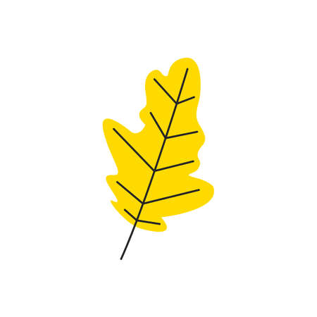 Yellow fresh autumn leaf with veins. Fall oak leaf season. Decorative botanical deciduous item. Simple single oak leaf silhouette. Hand drawn flat vector illustration isolated on white backgroundのイラスト素材