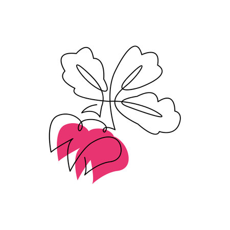 Pink radish continuous stroke style  with abstract color spot. Root vegetable in one line concept design. Kitchen garden and local farmer's market. Veggie art hand drawn flat vector illustrationのイラスト素材