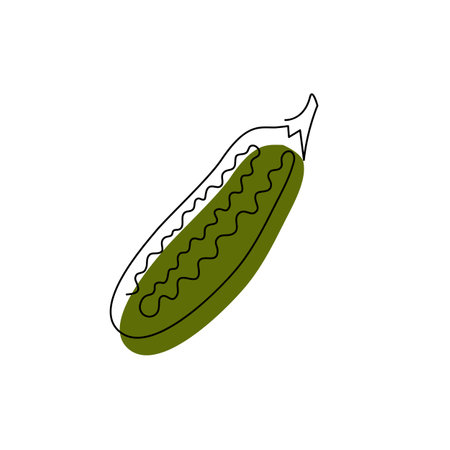 Zucchini black contour drawing with abstract color spot. Green squash minimalist silhouette. Continuous marrow vegetable concept design. Plant hand drawn one line flat vector illustration isolatedのイラスト素材