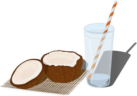 Glass of fresh coconut juice water and cutted coconut vector illustrationのイラスト素材