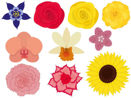 Varicoloured bright flowers collection vector illustrationのイラスト素材