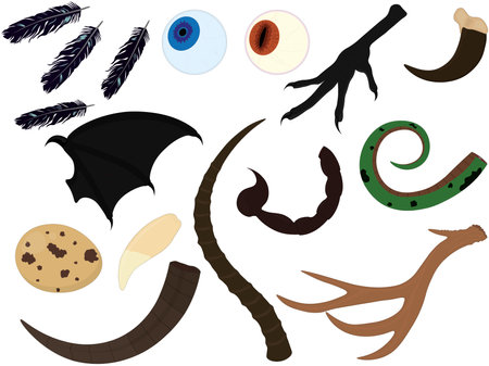 Alchemy witchcraft animal ingredients collection vector illustrationのイラスト素材