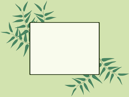 Light green background with square frame and eucalyptus leaves vector illustrationのイラスト素材