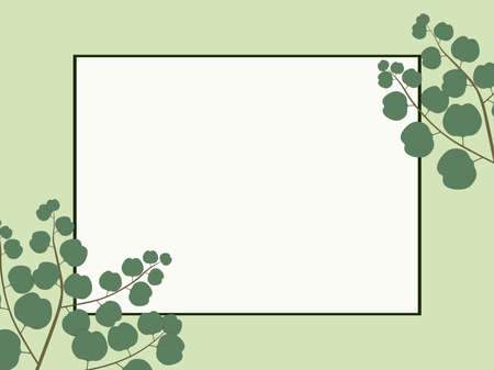 Light green background with rectangle frame and eucalyptus leaves above the frame vector illustrationのイラスト素材