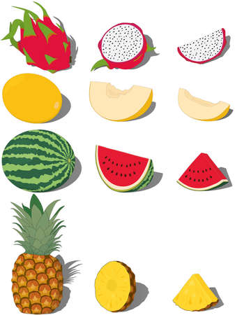 Whole sweet tropical fruits with pieces and slices vector illustrationのイラスト素材