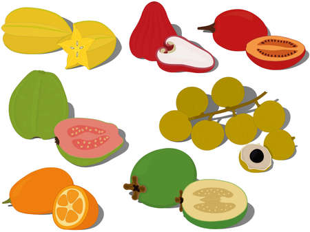 Exotic tropical sweet fruits collection vector illustrationのイラスト素材