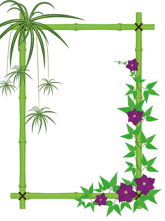 Bamboo frame with spider plant and blooming clematis vines vector illustrationのイラスト素材