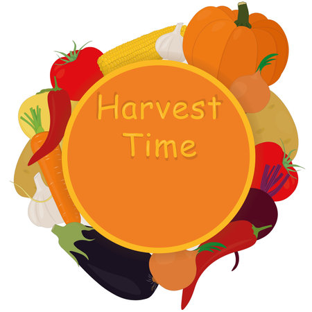 Harvest time vegetables collection behind the circle frame with copy space vector illustrationのイラスト素材
