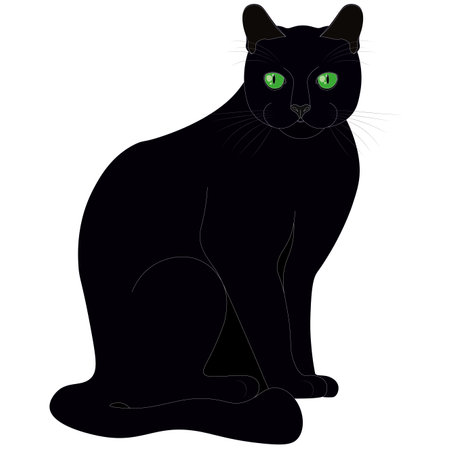 Black cat with green eyes vector illustrationのイラスト素材