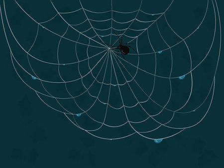 Spiderweb after rain with drops and black spider on dark teal background vector illustrationのイラスト素材