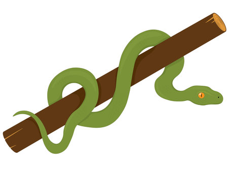 Green forest snake on wood branch vector illustrationのイラスト素材