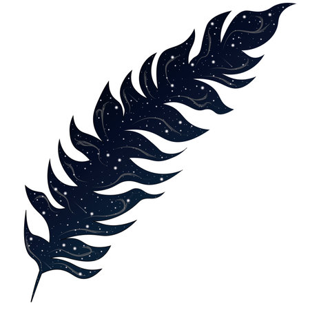 Feather contour with starry night sky background illustrationのイラスト素材