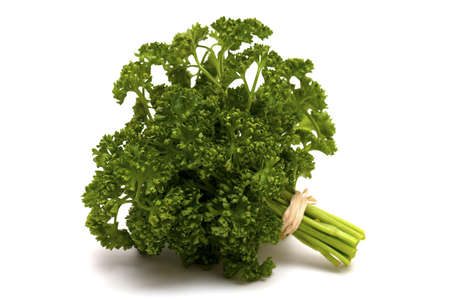 tied parsley isolated on white backgroundの写真素材