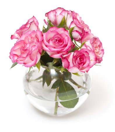 pink roses in vase isolated on whiteの写真素材
