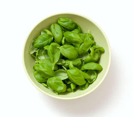 basil leafs in a green bowl isolated on whiteの写真素材