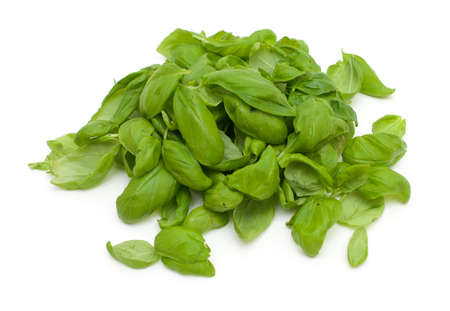 basil leafs isolated on whiteの写真素材