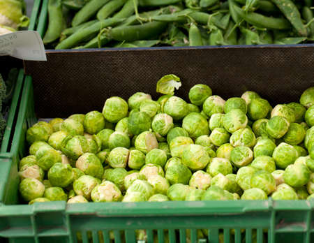 Fresh Brussels sprouts in a box at the greengrocer on the market placeの写真素材