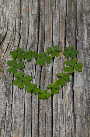 clover heart on wooden surfaceの写真素材