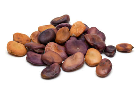 dried fava beans