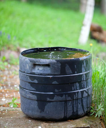 plastic container collecting rain water for plant wateringの写真素材